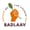 Badlaav Social Reform Foundation